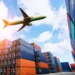 wholesale supply & export services